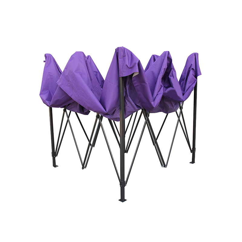 2x2m Canopy Canopy Gazebo
